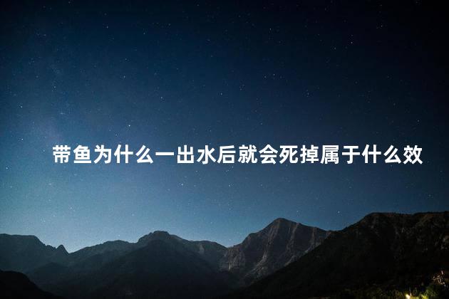 带鱼为什么一出水后就会死掉属于什么效应 带鱼是深海鱼吗